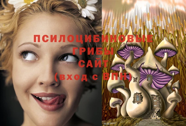 apvp Абаза