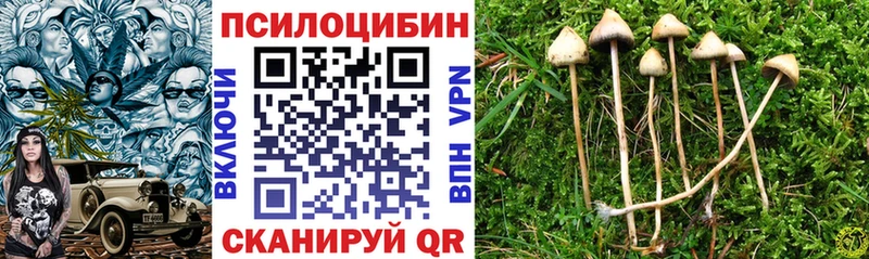 Псилоцибиновые грибы GOLDEN TEACHER  где купить наркоту  Знаменск 