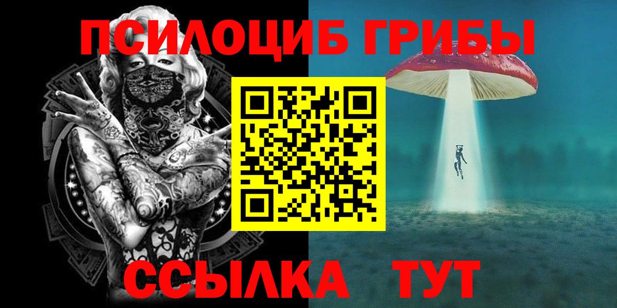 Псилоцибиновые грибы мухоморы Знаменск