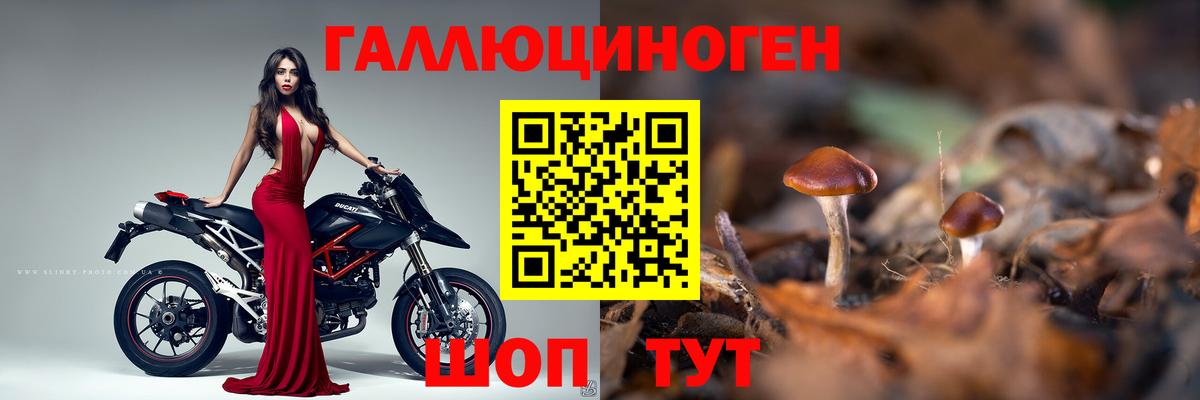 Знаменск  Галлюциногенные грибы GOLDEN TEACHER  Вход с VPN 